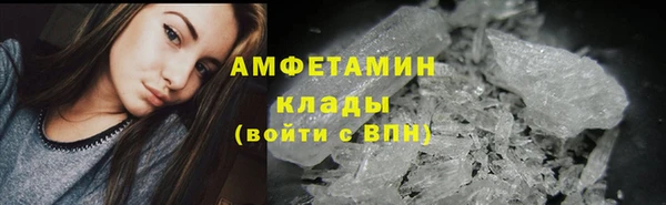 spice Богородицк