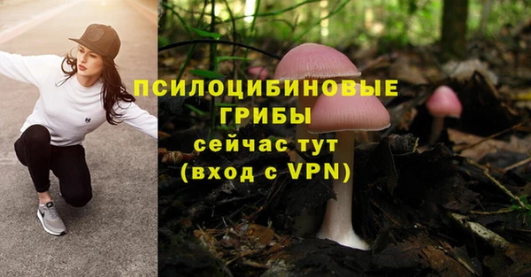 мефедрон Богданович