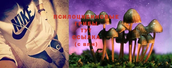 spice Богородицк