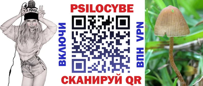 Галлюциногенные грибы Psilocybine cubensis  купить закладку  kraken tor  Гай 